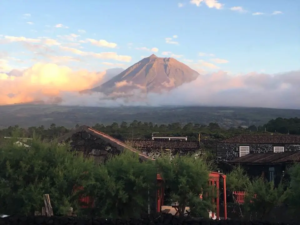 Best activities in Pico Island