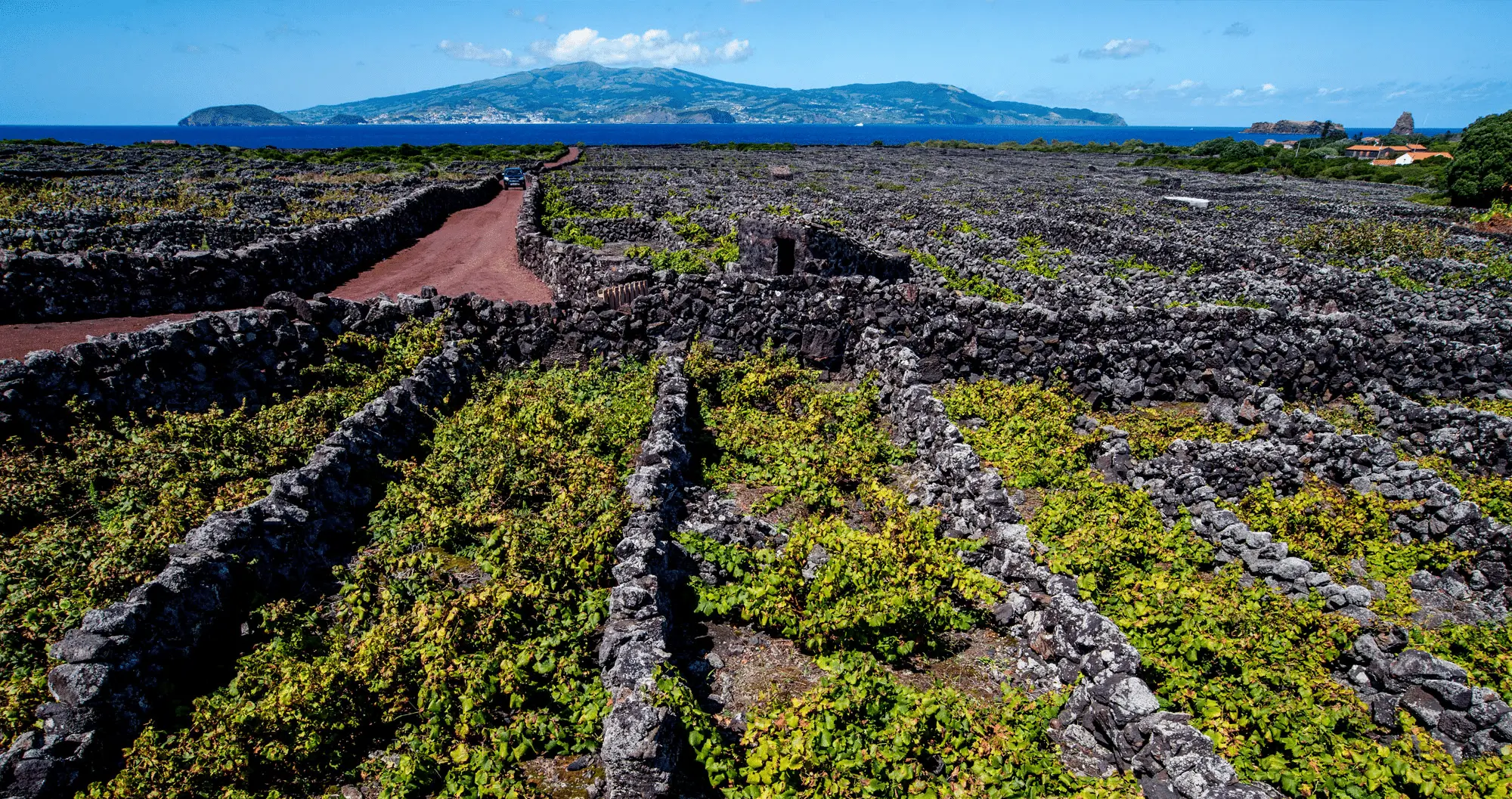 Criação Velha vineyards in Pico
