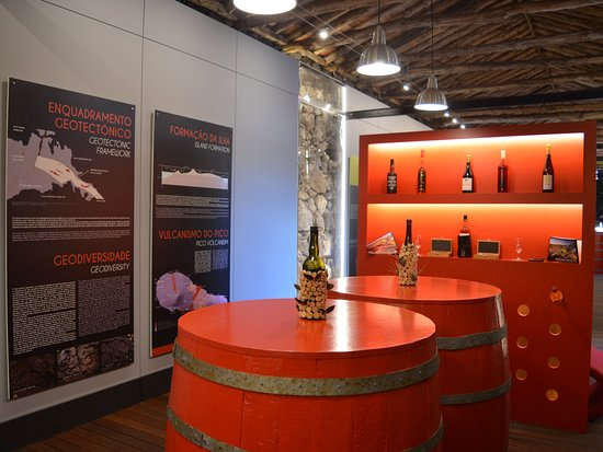 museu do vinho do pico