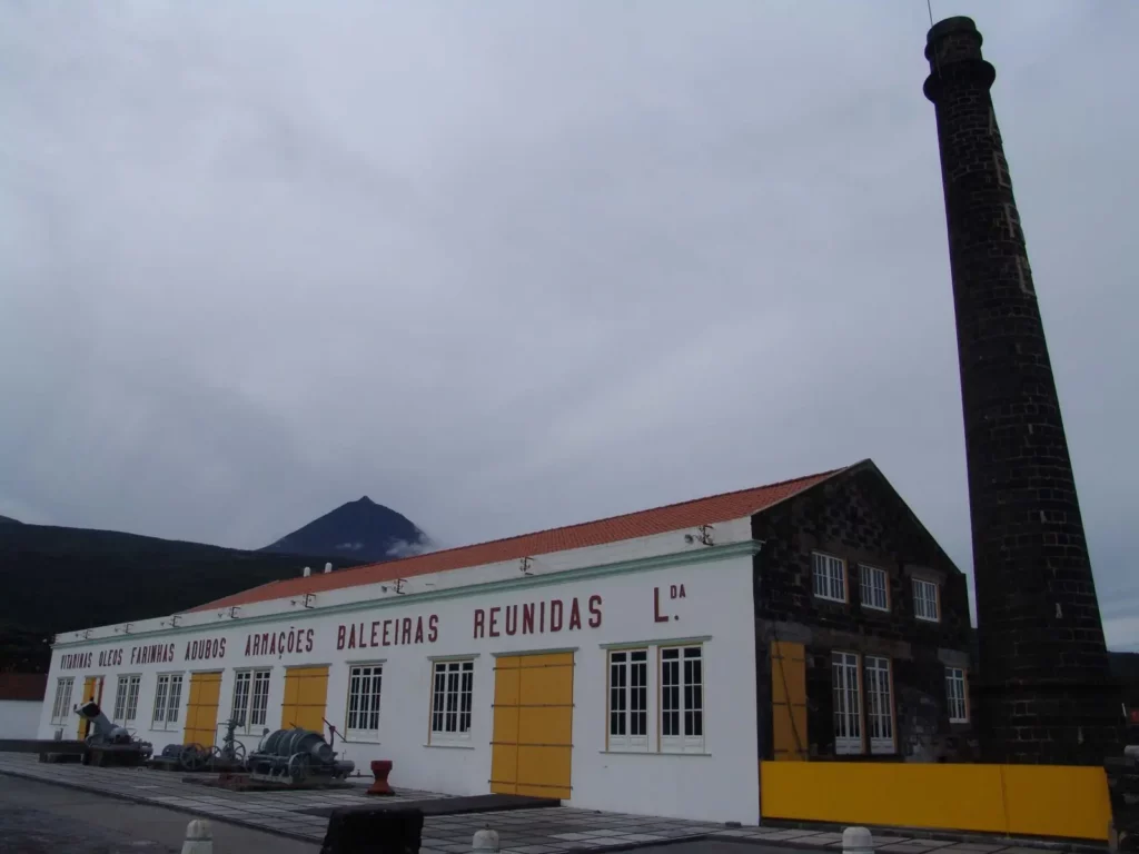 museu industria baleeira