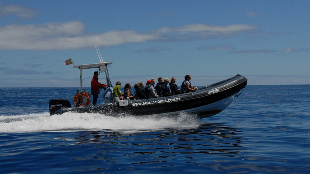 Aqua Açores — boat rental and sea tours