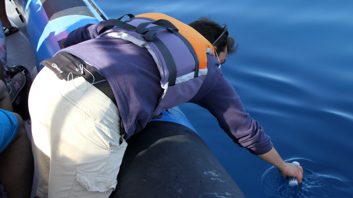 Futurismo — Be a Marine Biologist for a day (São Miguel)