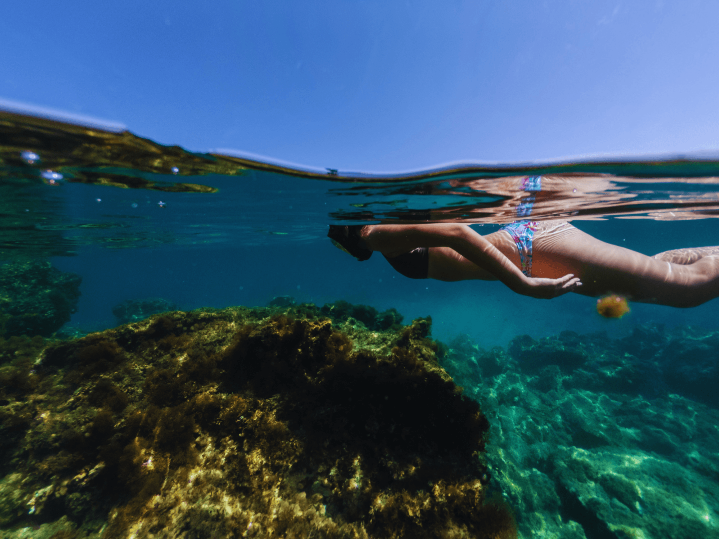 AG Expeditions — tour privado de snorkeling em Santa Iria