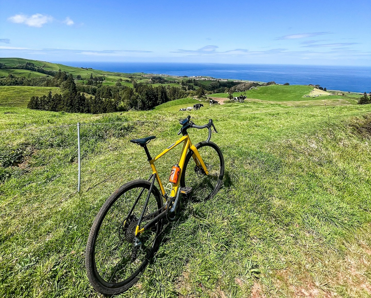 Bicicletaria Azores — aluguer de MTB e gravel em São Miguel