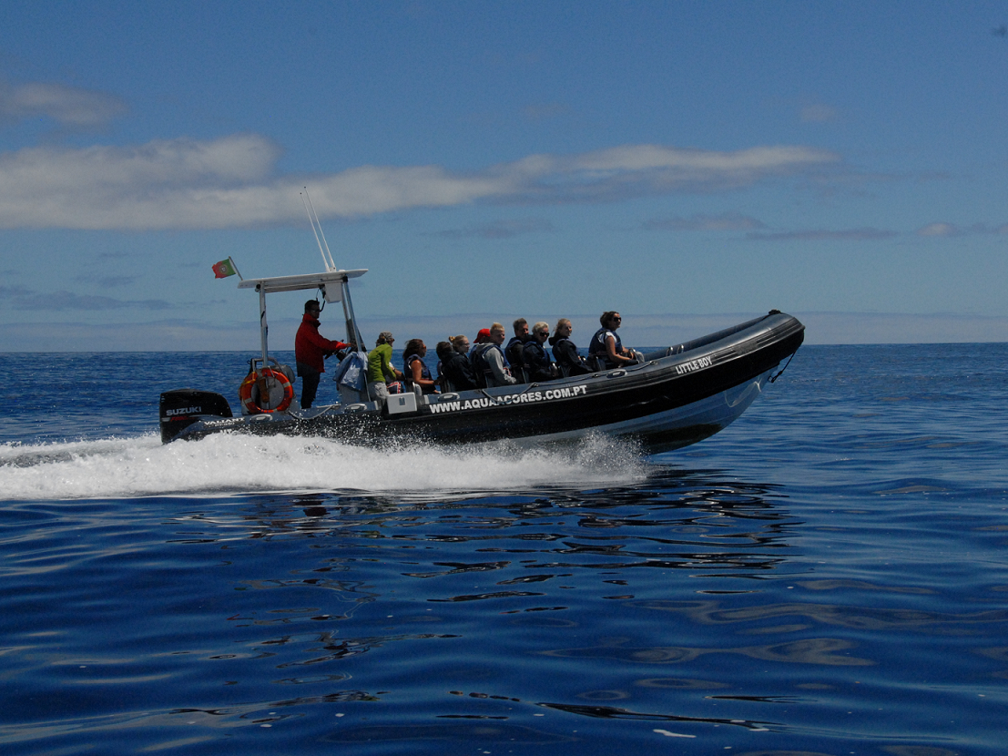 Aqua Açores — boat rental on Pico Island