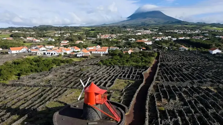 15 Best Activities in Pico Island in 2026: Paid, Free and Low-Cost