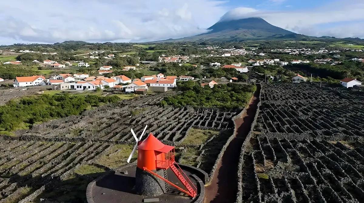 Melhores atividades no Pico