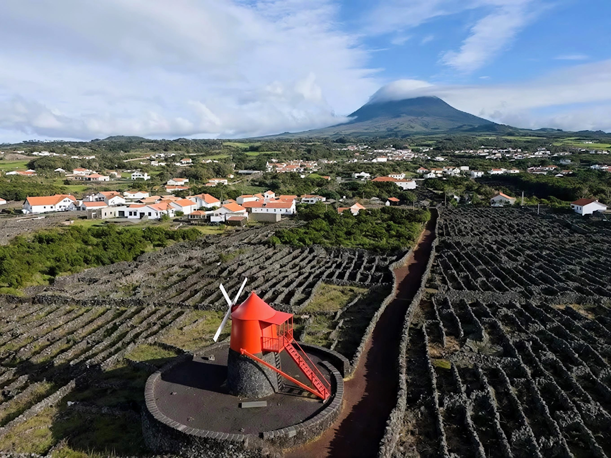 Pico Island vineyard landscape image: Gauvin Lapetoule