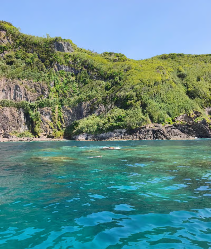 Zagaia Flores — tour de snorkeling na ilha das Flores