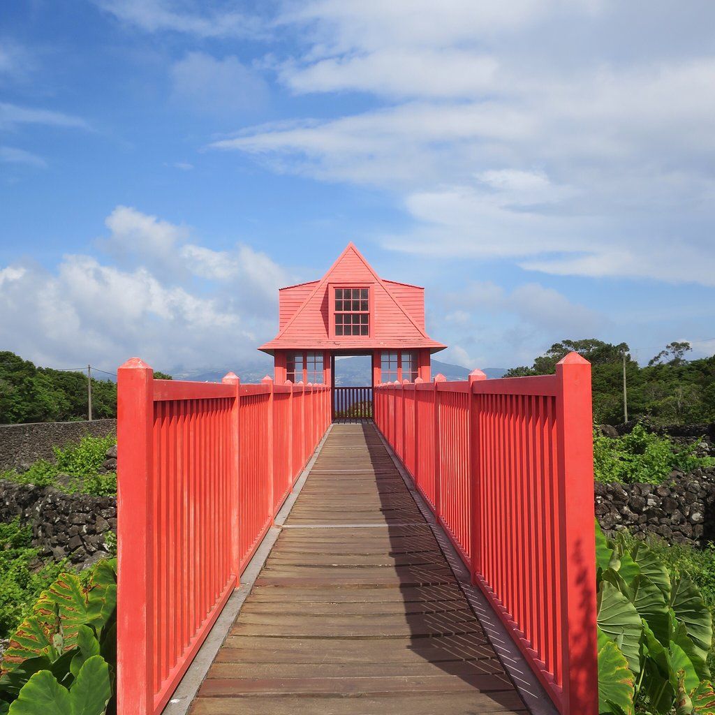 Tripix — tour à ilha do Pico meio dia ou dia inteiro