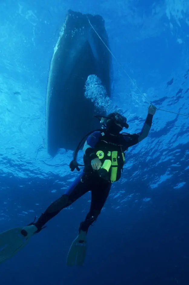 Espírito Azul — batismo de mergulho em São Miguel