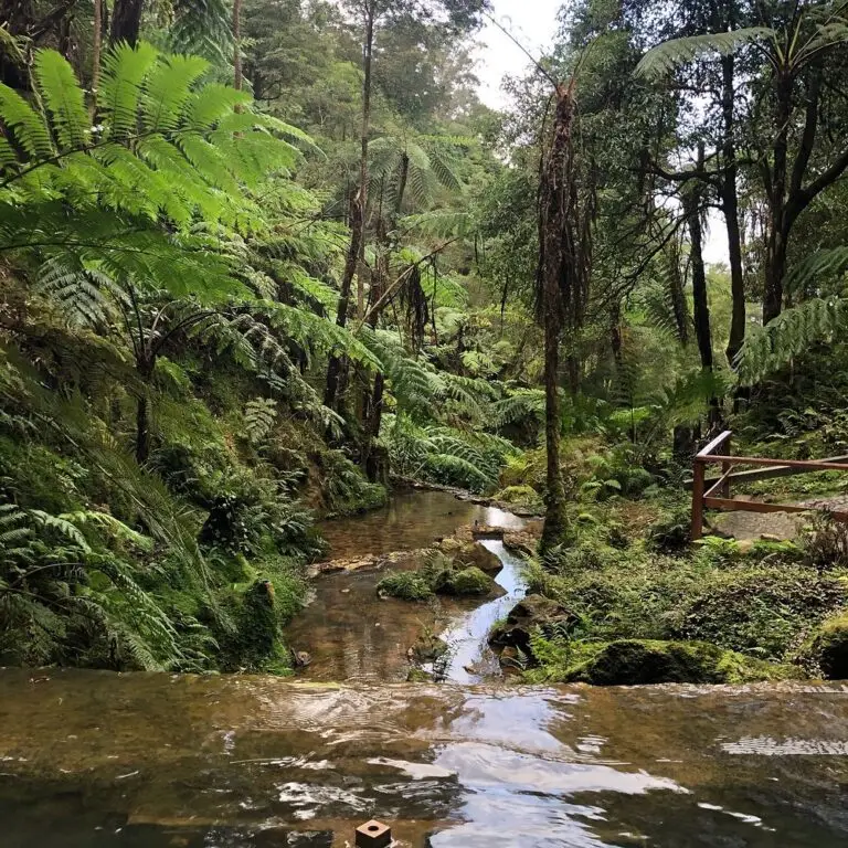 Hot Springs in São Miguel, Azores: Complete Guide to the Best Thermal Baths