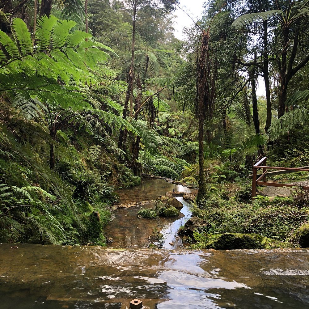 Caldeira Velha in São Miguel, one of the best hot springs in the Azores