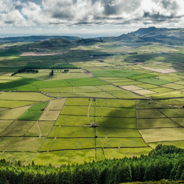 Picos de Aventura — tours de carrinha na ilha Terceira