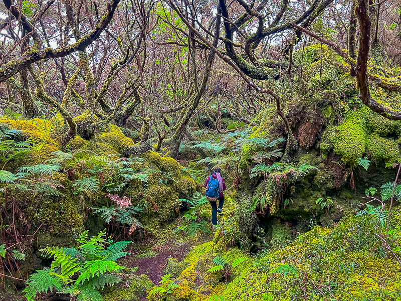 Mistérios Negros trail on Terceira Island, Azores