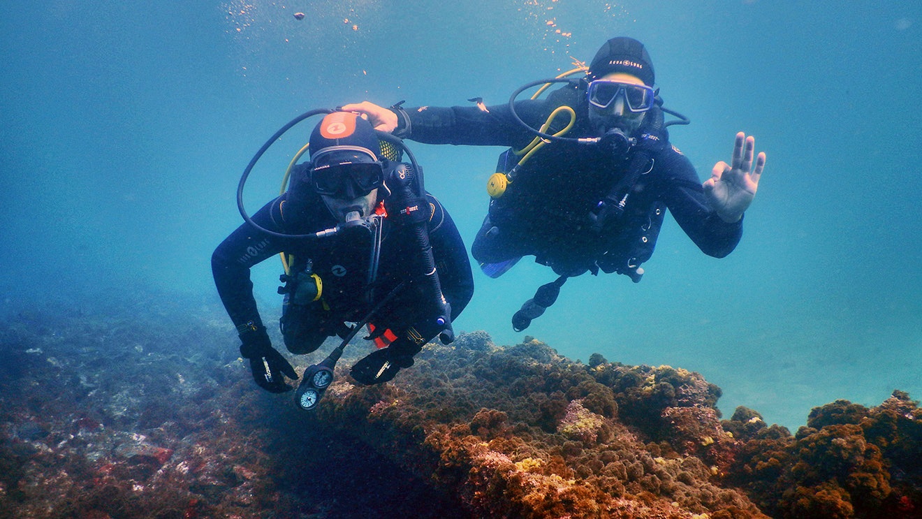 Octopus Portugal — try dive ocean na ilha Terceira