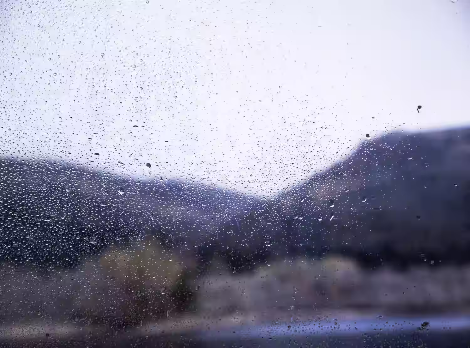 what to do in Pico when it rains, what to do on Pico Island in bad weather