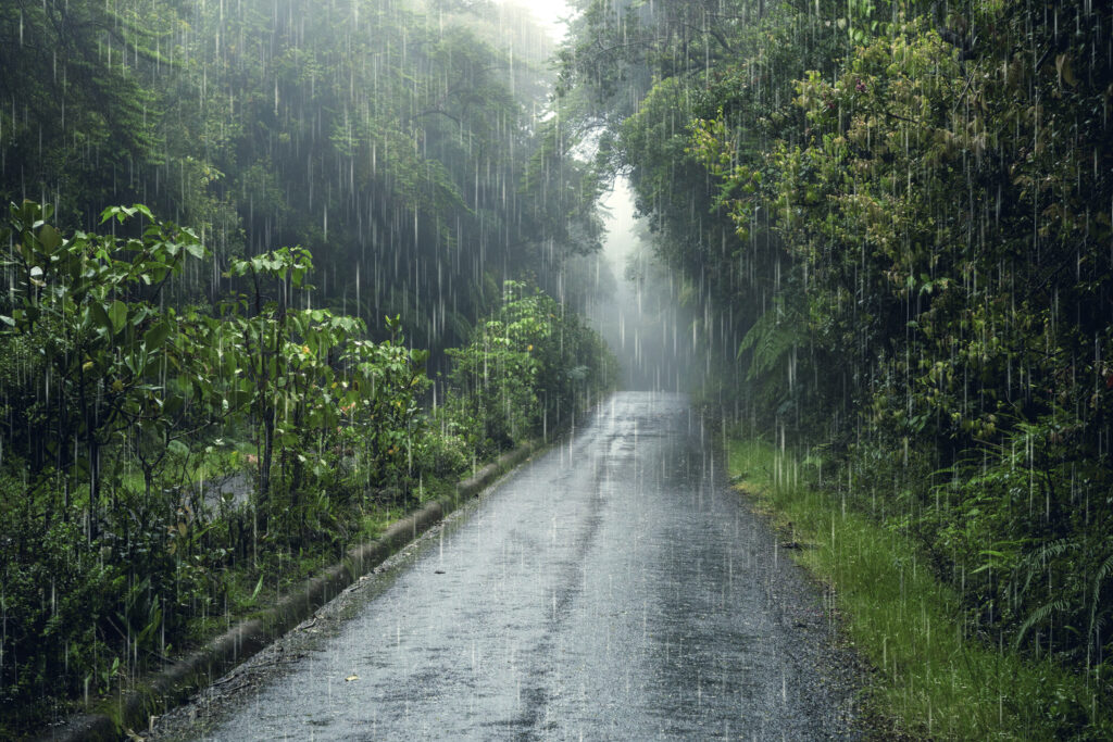 What to Do in São Miguel When It Rains / o que fazer em São Miguel quando chove