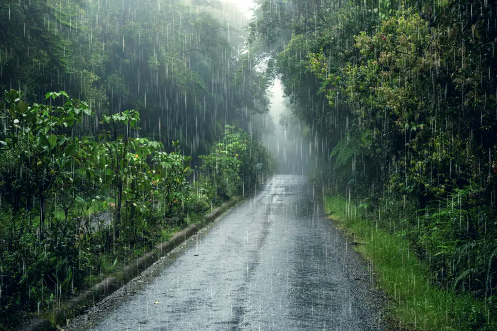 O que fazer em São Miguel quando chove: melhor guia 2026