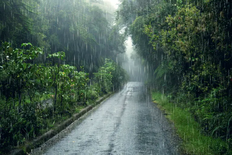 What to Do in São Miguel When It Rains: 2026 Best Guide