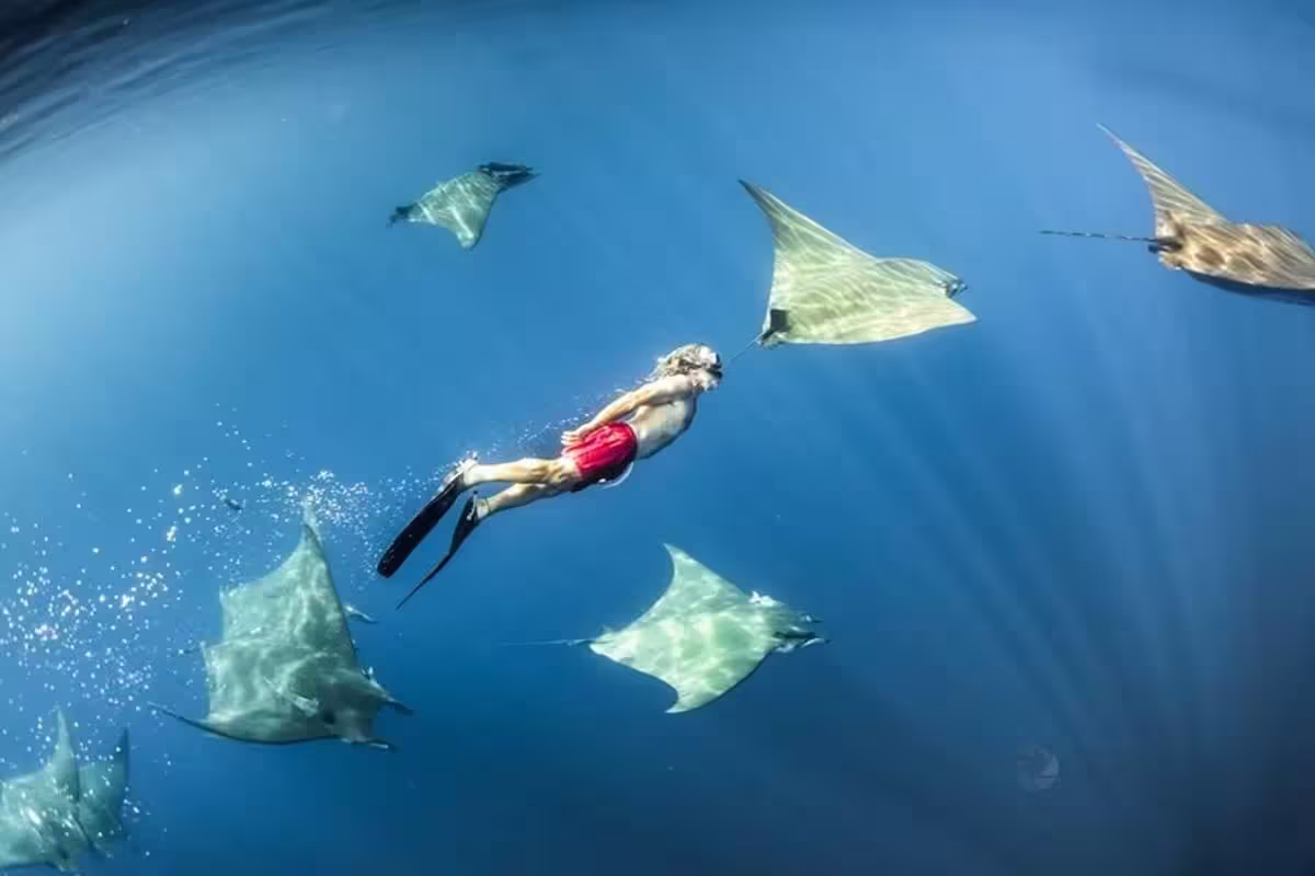Norberto Diver — apneia no Banco Princesa Alice a partir do Faial