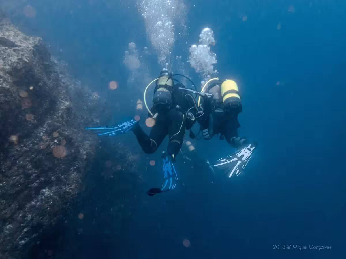 Norberto Diver — mergulho costeiro no Faial