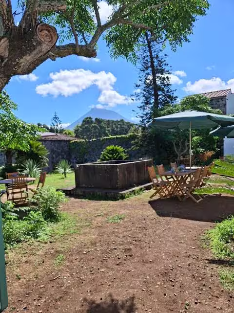 Adega do Vulcão — prova clássica de vinhos no Pico
