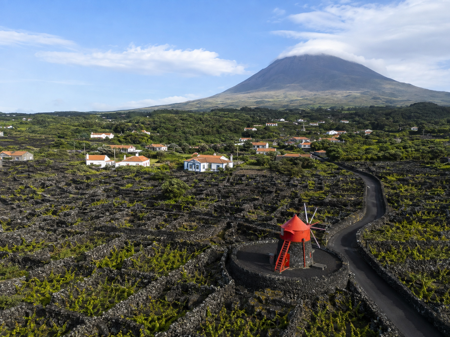 Cultural and natural tour in Pico